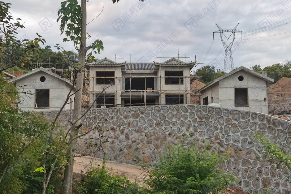 江西赣州-农村自建中式二层三合院别墅,苏州园林外观设计效果图及实景